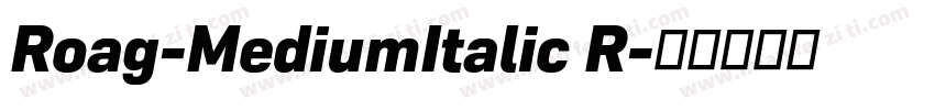 Roag-MediumItalic R字体转换